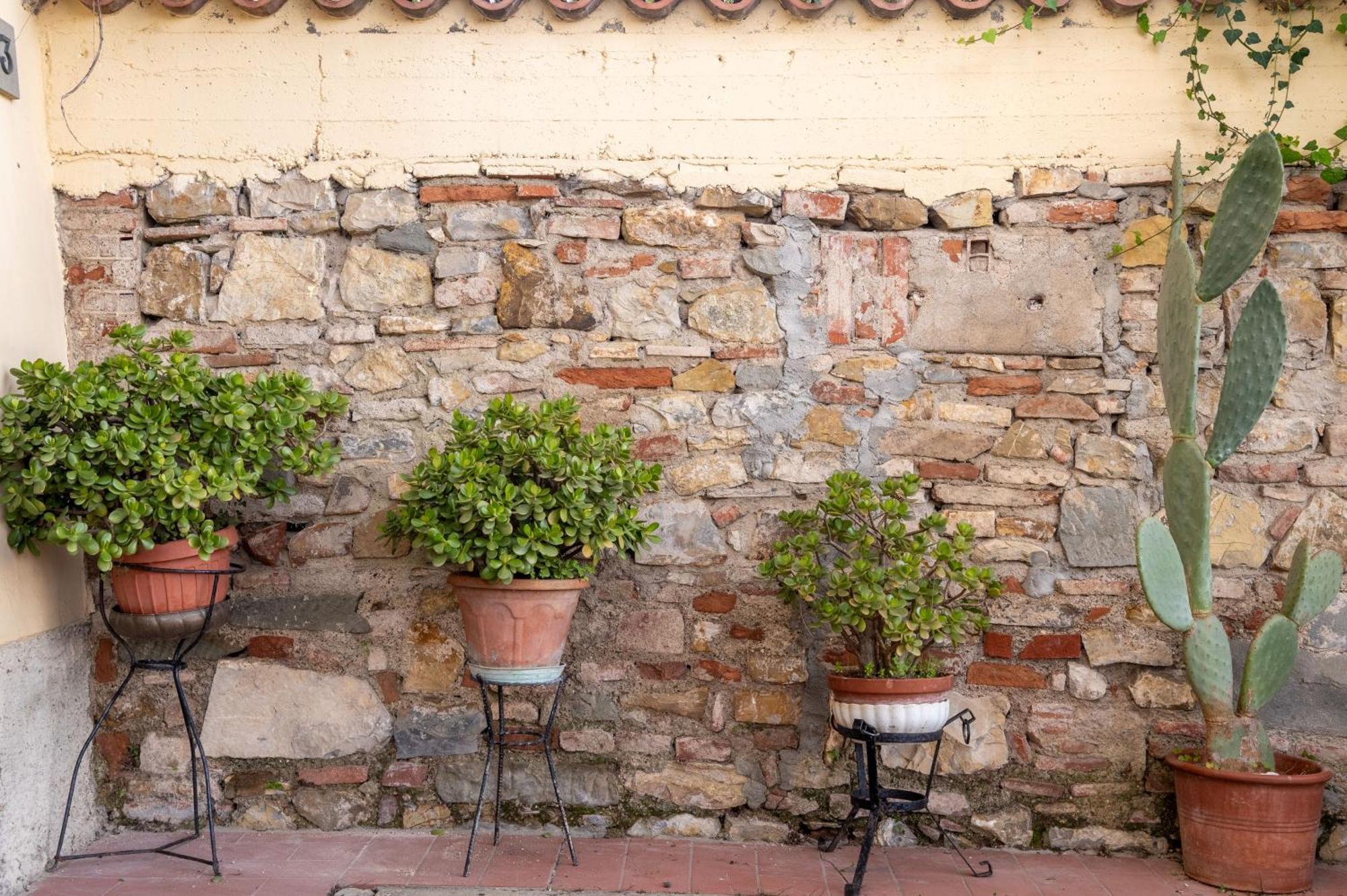 San Procolo Patio *